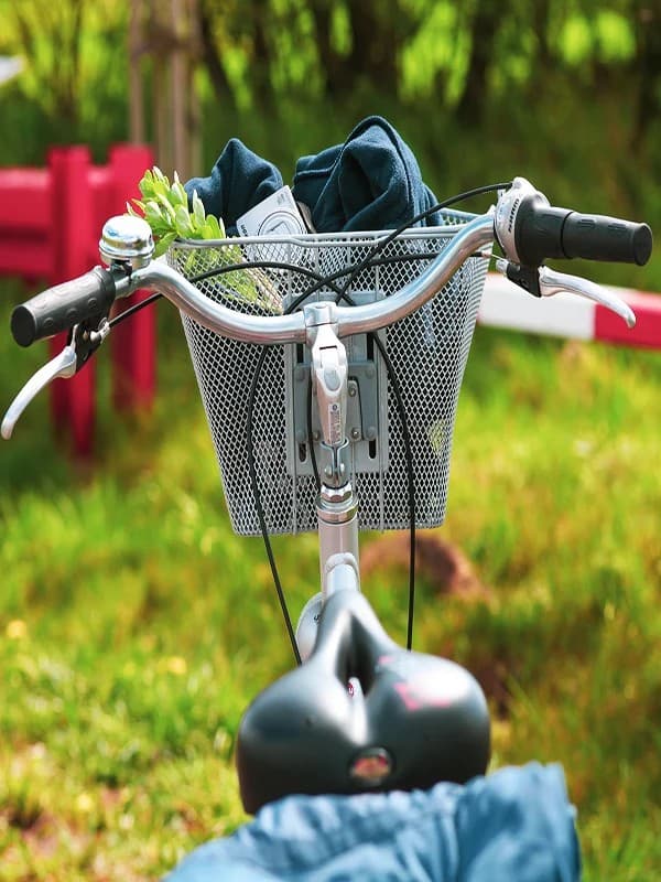 Cycling and Tree Planting Volunteering Program — photo 1