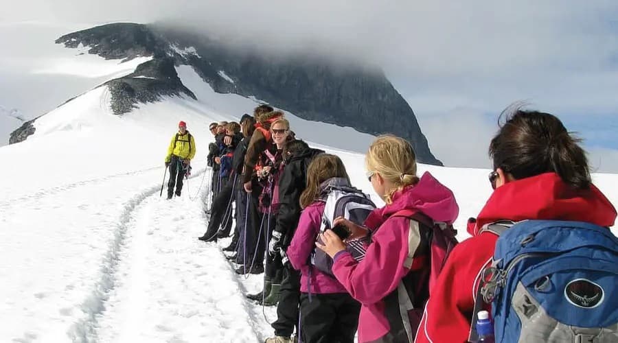 7-Day Kilimanjaro Group Trek via Lemosho Route — photo 1