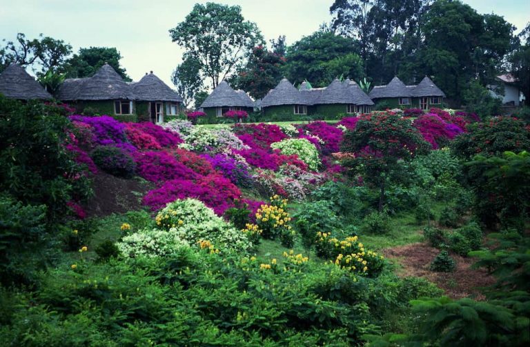 Arusha Serena Hotel flower garden