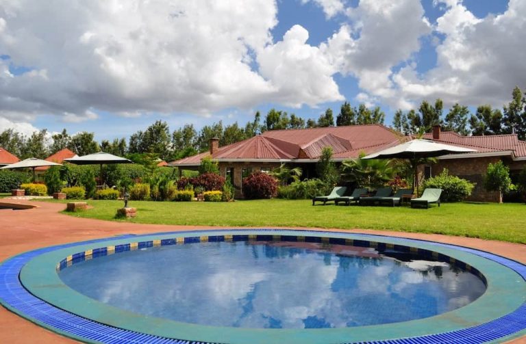 Bougainvillea Lodge pool and garden