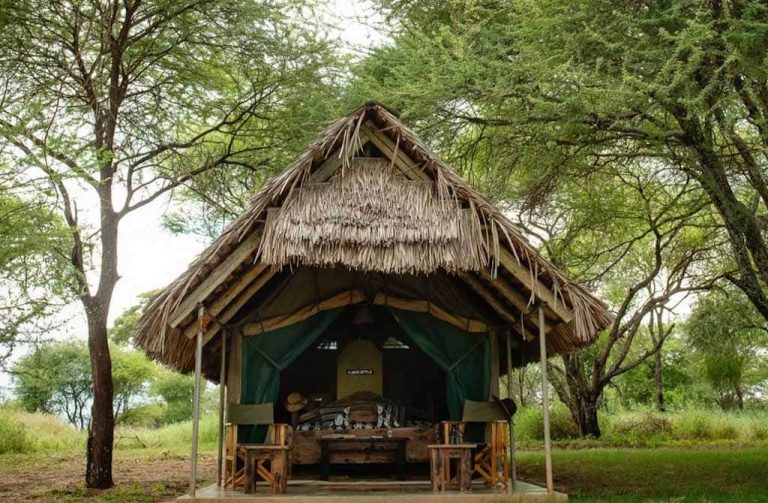 Tarangire Safari Lodge tent