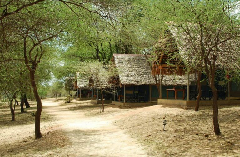 Tarangire Safari Lodge tents
