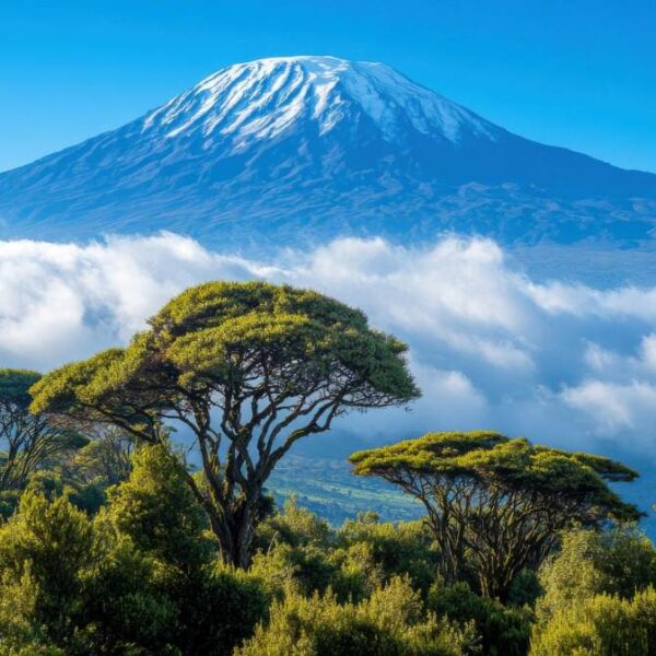 Mountain range in distance