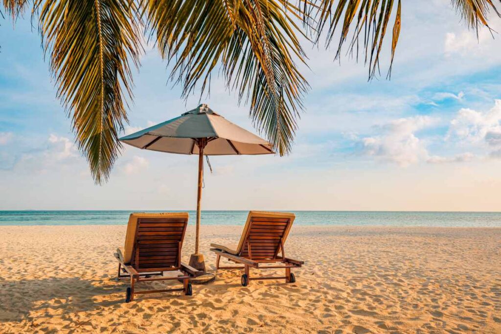 chairs and umbrella on a sandy beach under a palm tree