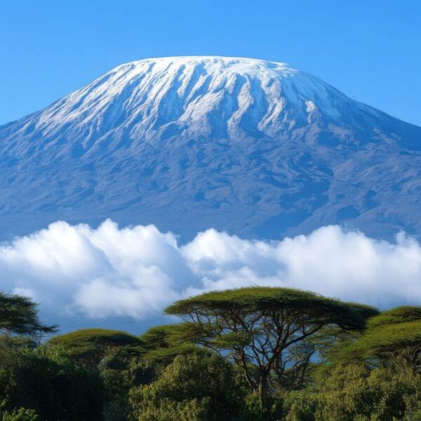 very beautiful view of mount kilimanjaro