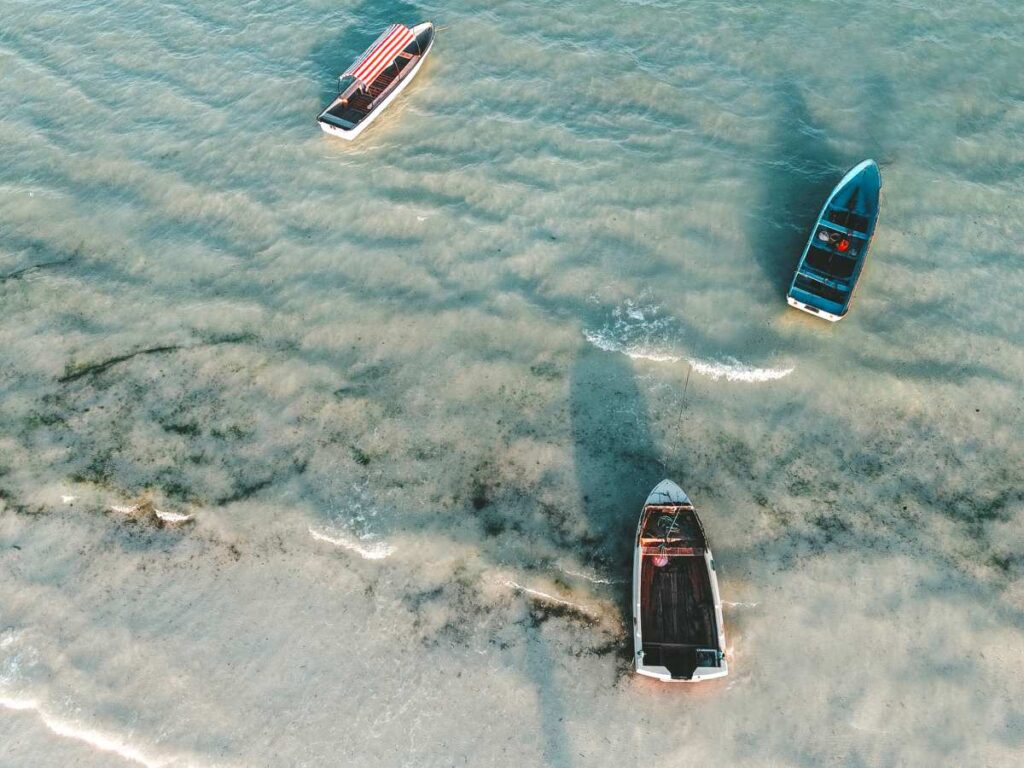 Muyuni Beach, Zanzibar Island