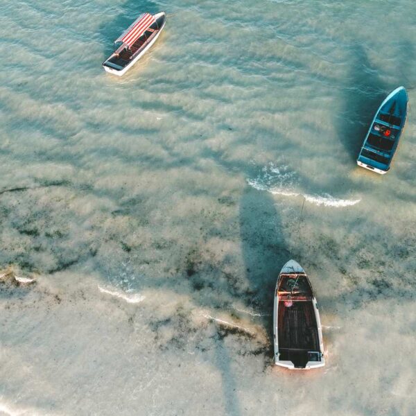 Muyuni Beach, Zanzibar Island