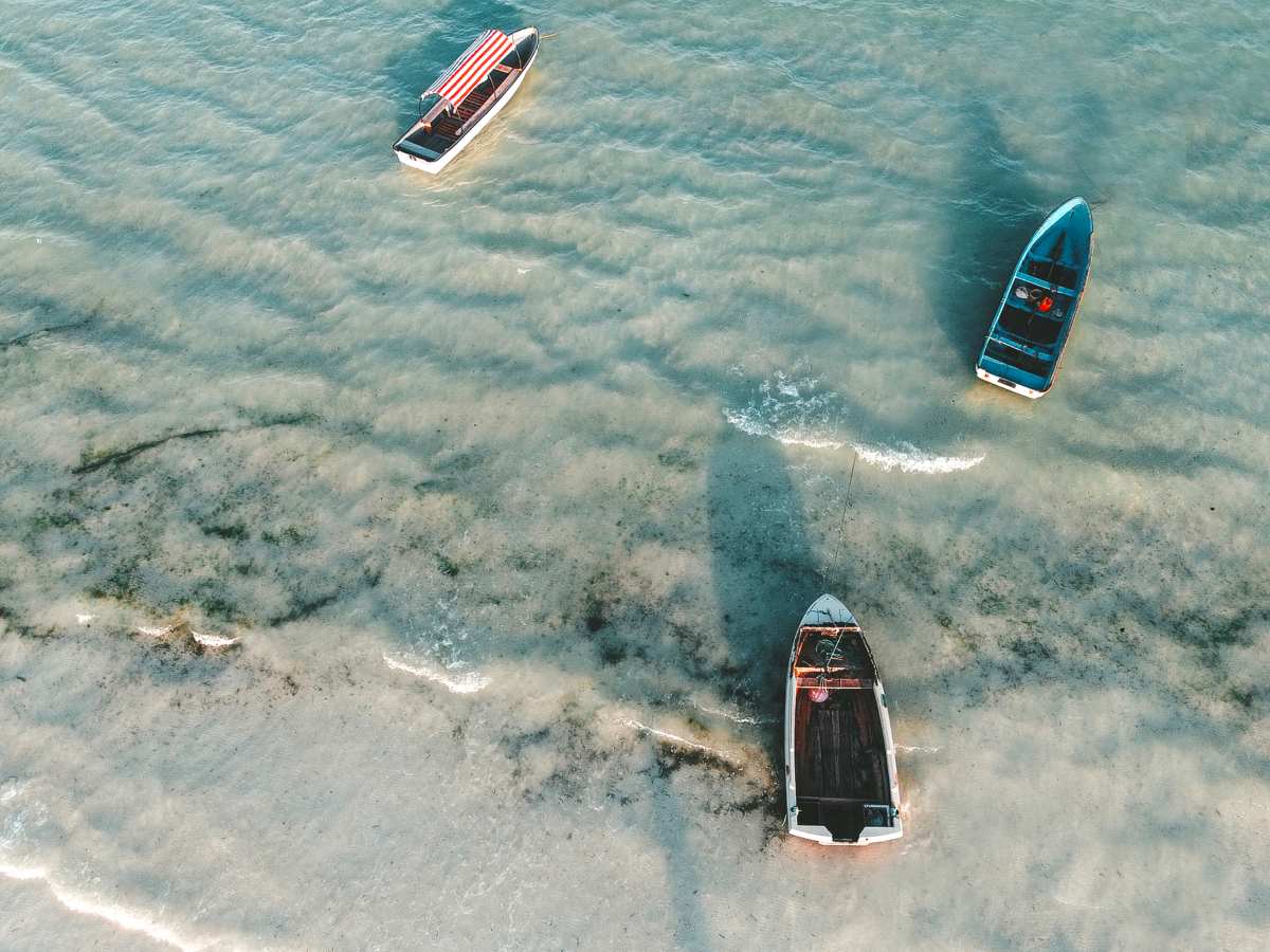 Muyuni Beach, Zanzibar Island