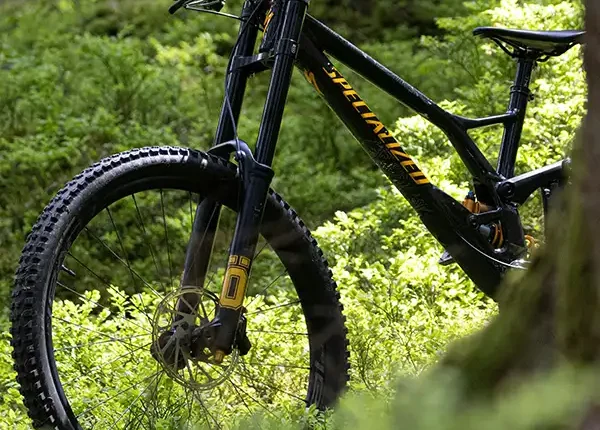 A cyclist riding through lush green land, embodying the spirit of adventure and environmental conservation in an ecotourism volunteering experience.