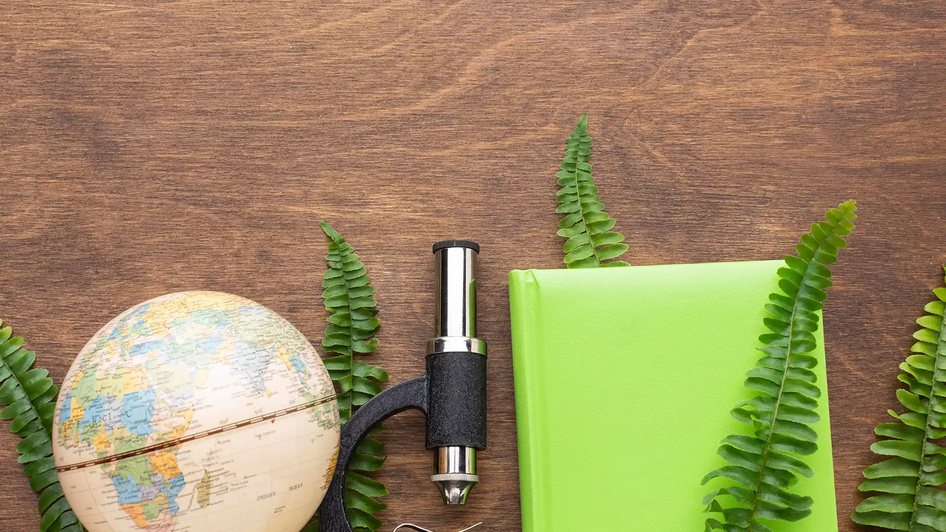 Climate Change Research Gallery1 Globe fern leaves and green sustainable notebook on a wooden background representing eco friendly tourism and climate change research