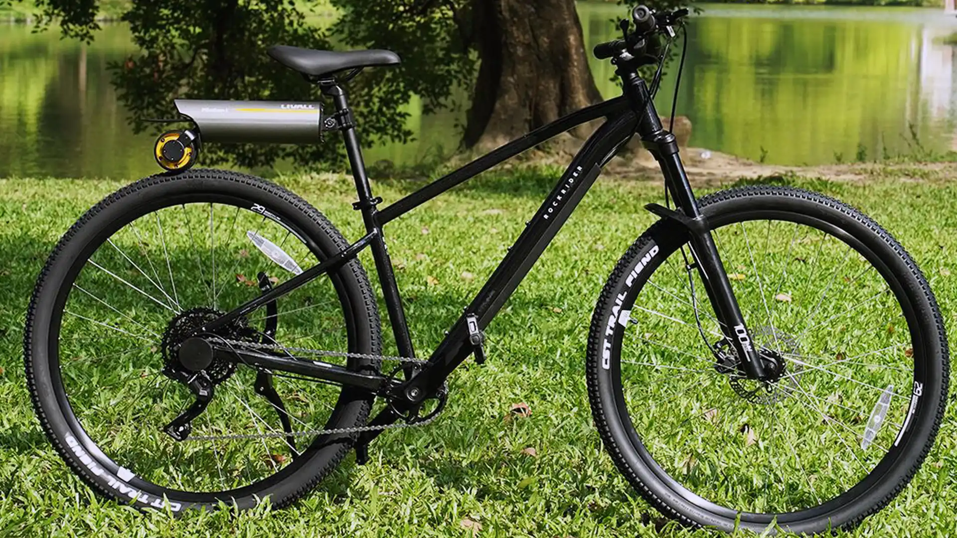 Cycling Gallery1 Close up of a green friendly Bicycle on green glasses, a big treen aside and the river highlighting sustainable tourism through cycling