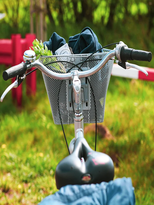A bicycle with a mesh basket carrying green seedlings, promoting sustainable tourism through cycling and tree-planting initiatives