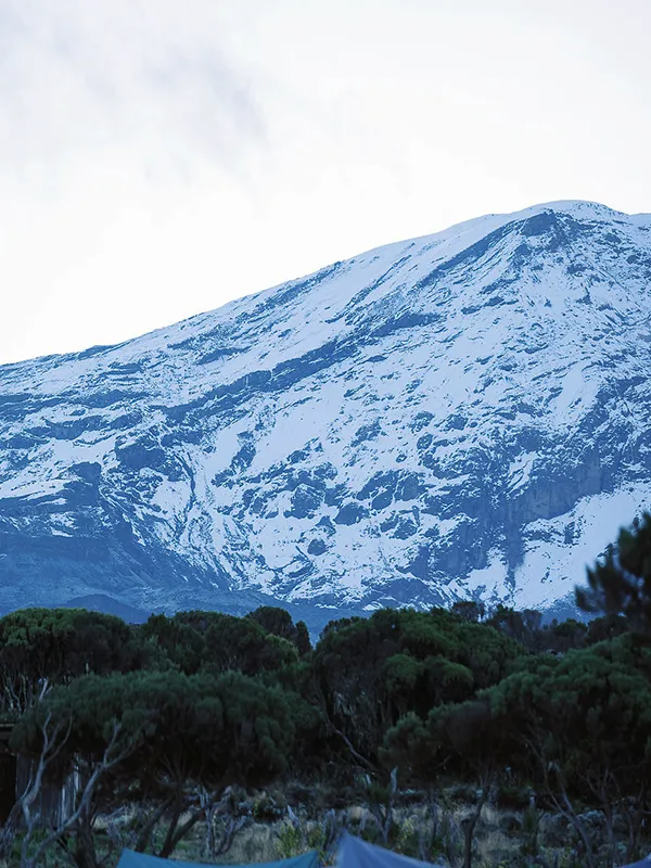 Kilimanjaro Moutain slope covered with snow cap and surrounded by green trees exhibting the significance of promoting sustainable tourism