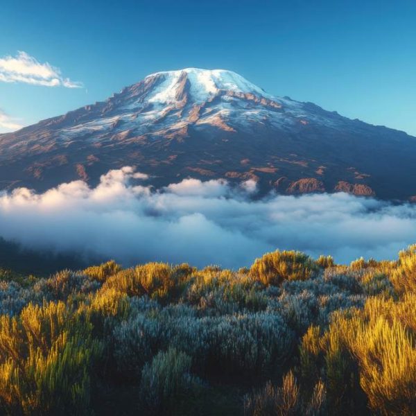 Snow mountain peak above clouds