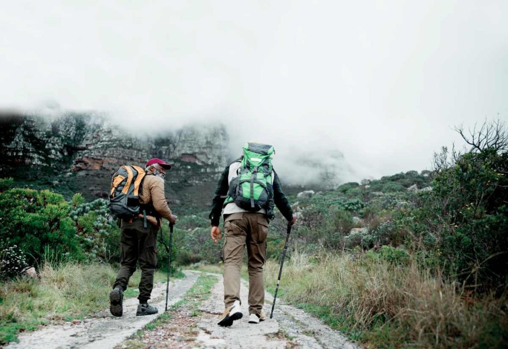 Back, stick or friends on trail hiking outdoor adventure or journey in nature or forest for mountain travel