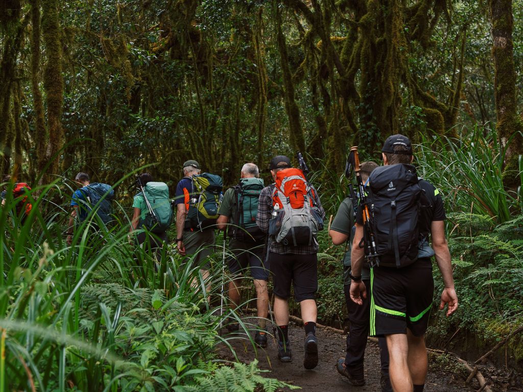 Climbers Trekking Up Mt Kilimanjaro