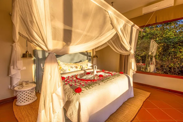 Acacia Farm Lodge โ photo 13