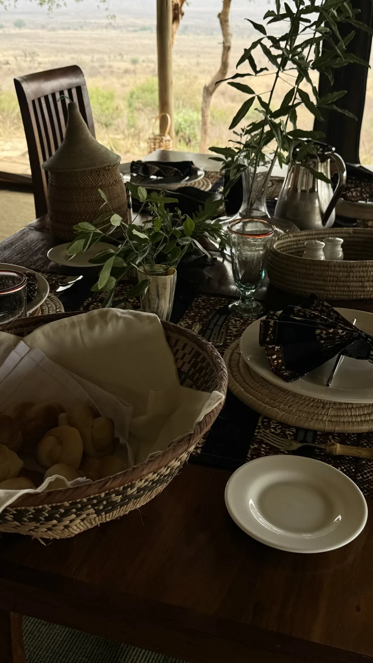 Babu’s Camp — photo 5