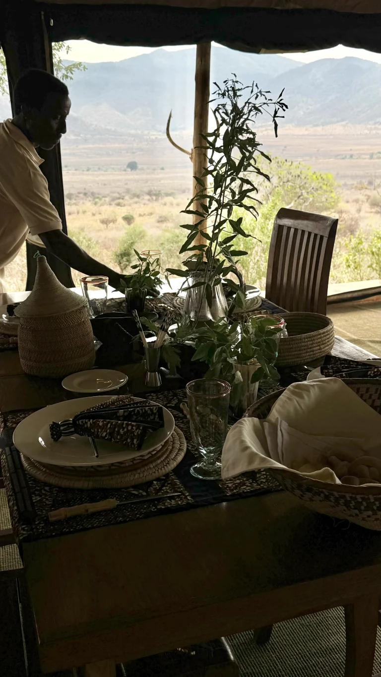 Babu’s Camp — photo 6