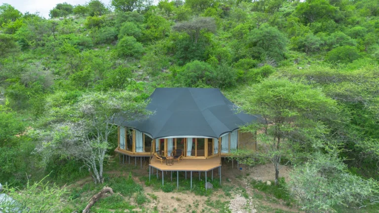 Baobab Mara Luxury Camp — photo 43