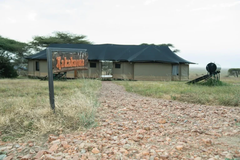 Burunge Baobab Tented Camp โ photo 43