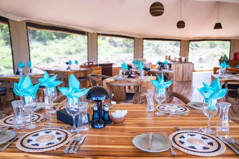 Burunge Baobab Tented Camp โ photo 42
