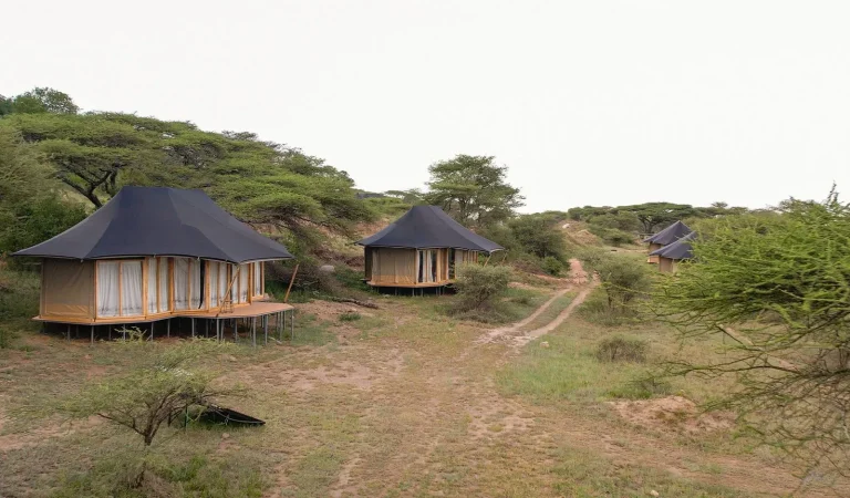Burunge Baobab Tented Camp โ photo 19