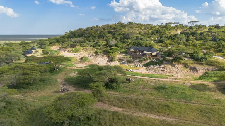 Burunge Baobab Tented Camp โ photo 27