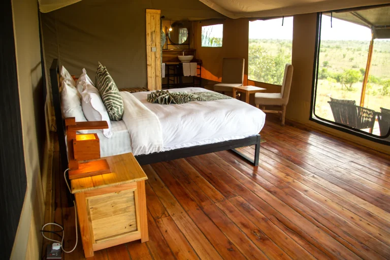 Baobab Mara Luxury Camp — photo 4
