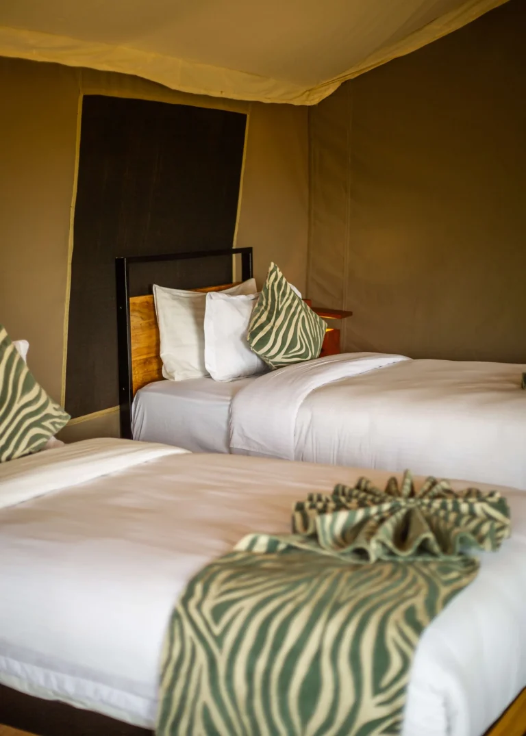 Burunge Baobab Tented Camp โ photo 28