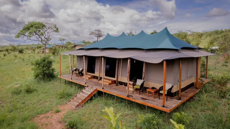 Baobab Mara Luxury Camp — photo 1