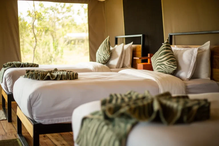 Burunge Baobab Tented Camp โ photo 11