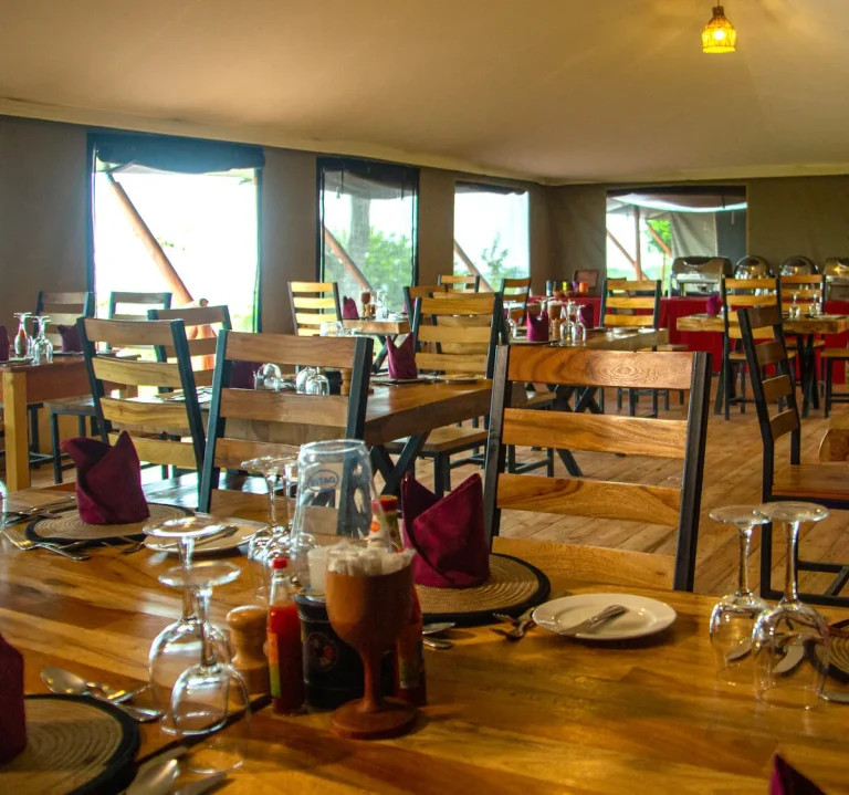 Burunge Baobab Tented Camp โ photo 5