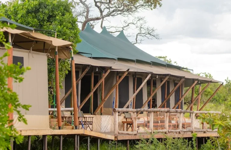 Burunge Baobab Tented Camp โ photo 33
