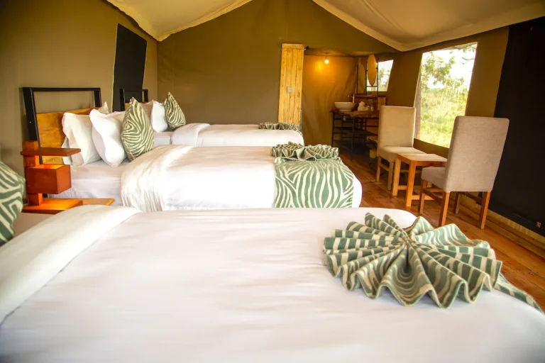Baobab Mara Luxury Camp — photo 25