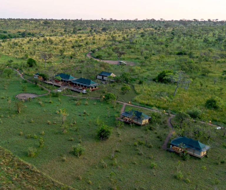Baobab Mara Luxury Camp — photo 20