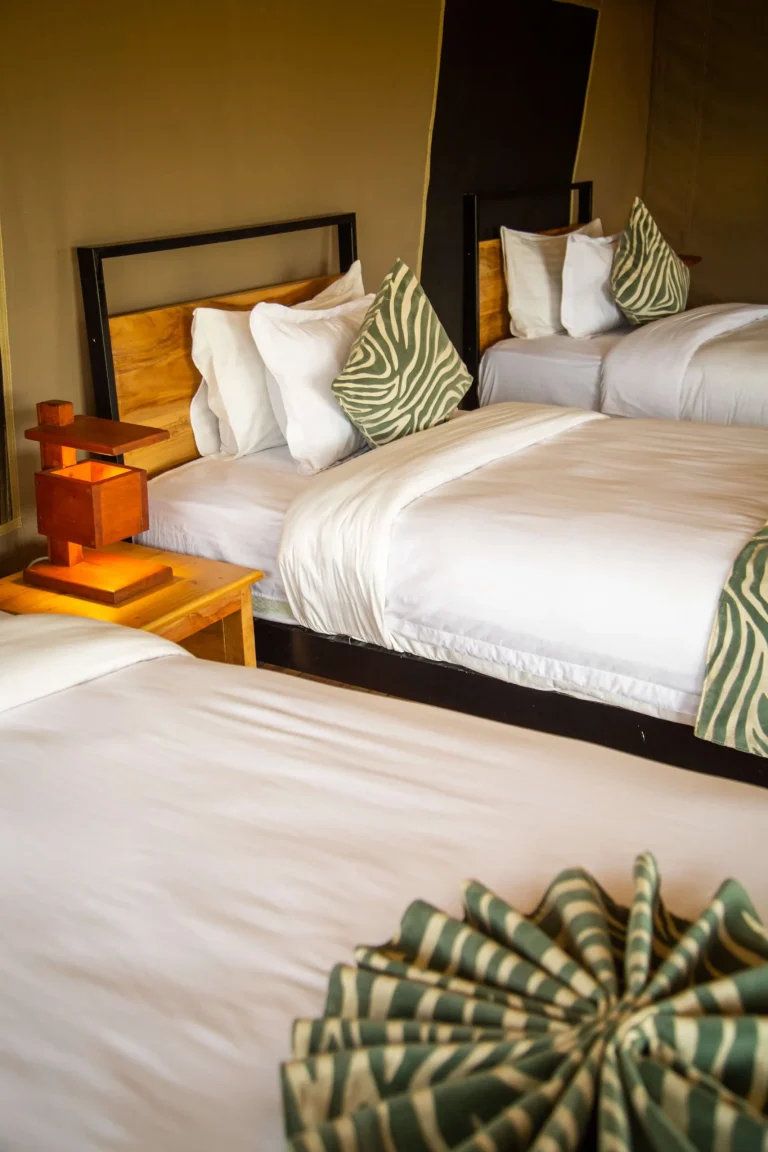 Baobab Mara Luxury Camp — photo 10
