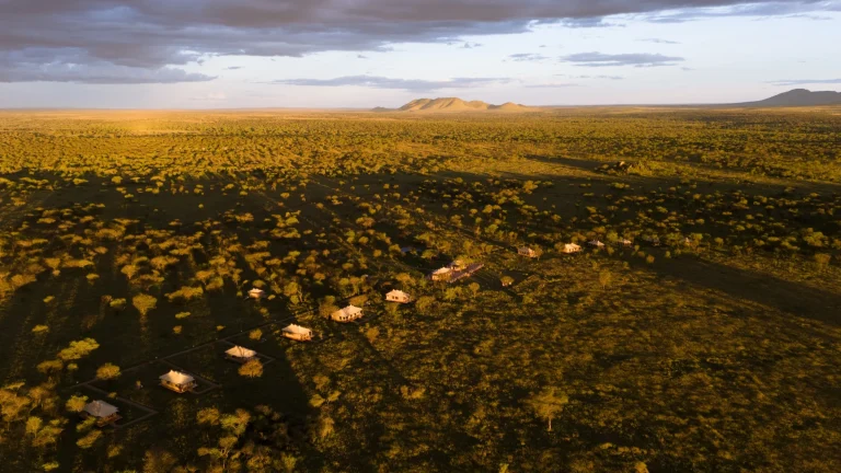 Conserve Serengeti Camp — photo 1