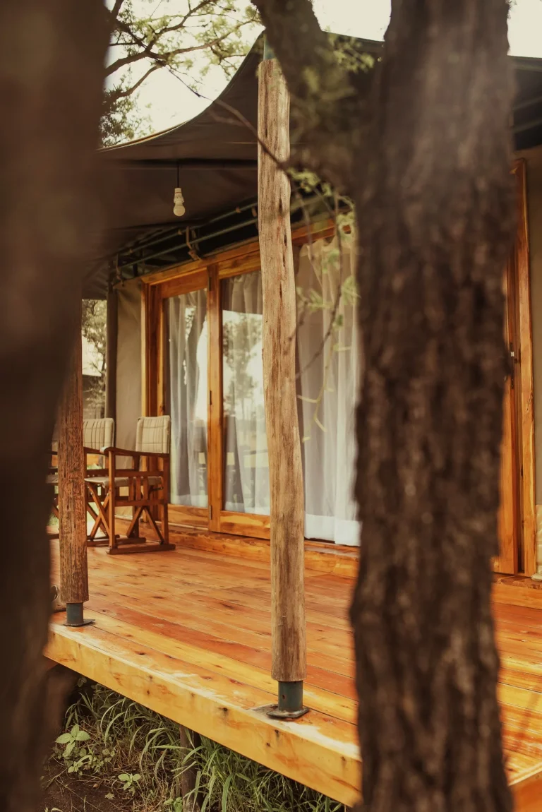 Conserve Serengeti Camp — photo 2