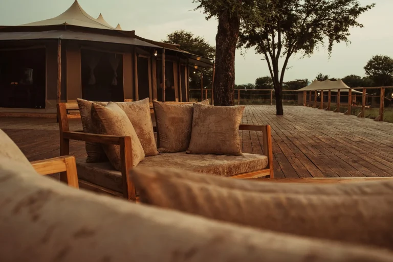 Conserve Serengeti Camp — photo 3