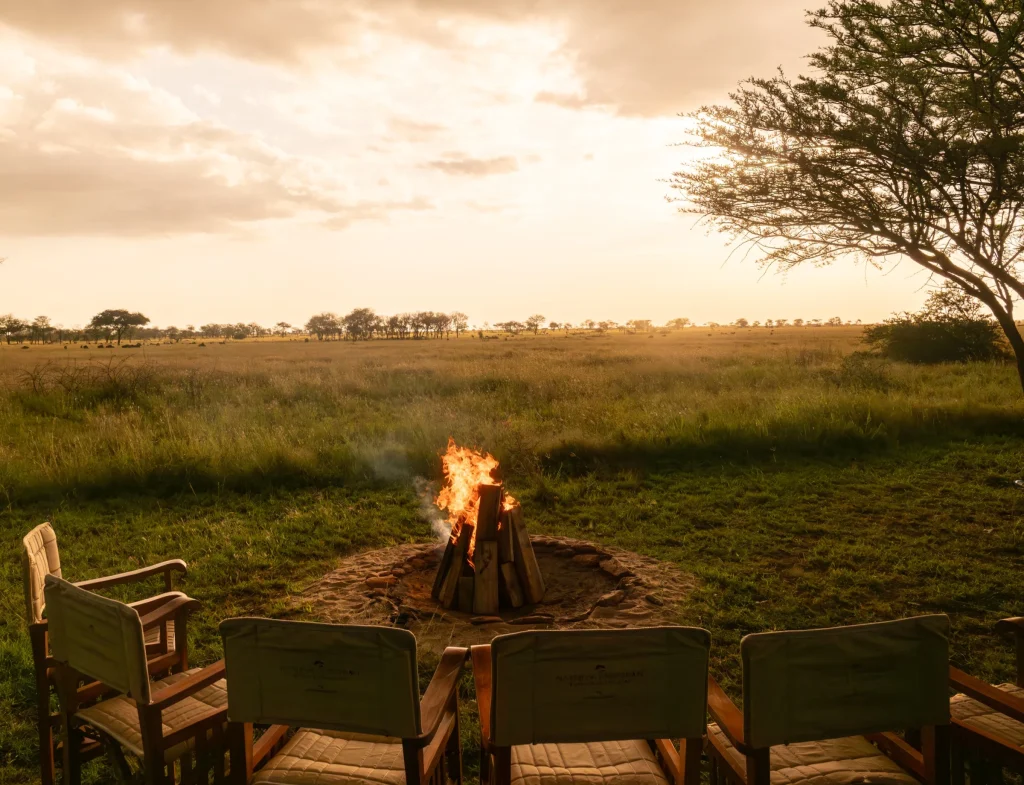 Conserve Serengeti Camp