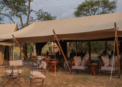 Intimate Zebra Camp โ photo 1