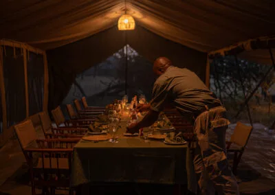 Intimate Zebra Camp โ photo 2
