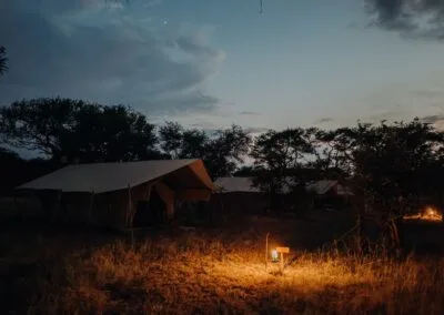 Intimate Zebra Camp โ photo 4