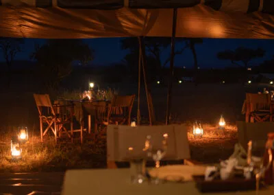 Intimate Zebra Camp โ photo 5