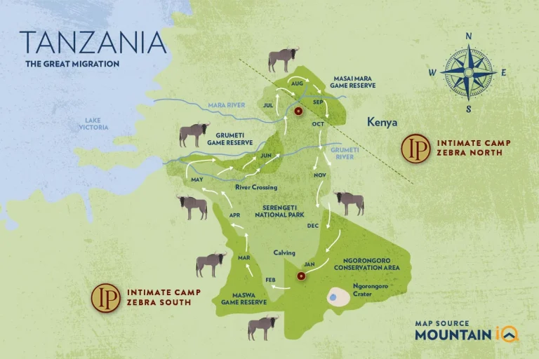 Intimate Zebra Camp โ photo 13