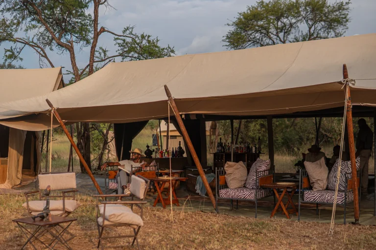 Intimate Zebra Camp โ photo 15