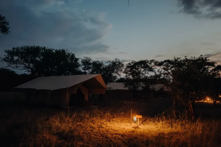 Intimate Zebra Camp โ photo 18