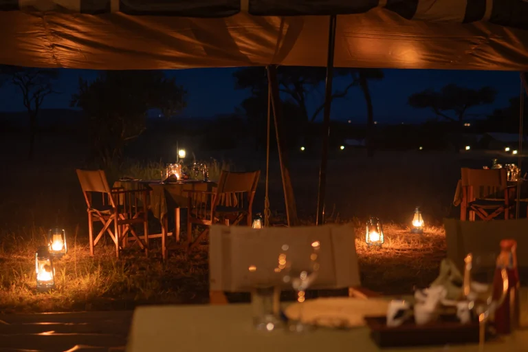 Intimate Zebra Camp โ photo 19