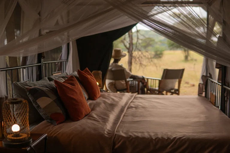 Intimate Zebra Camp โ photo 21
